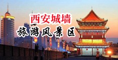 麻酥酥自慰网站中国陕西-西安城墙旅游风景区